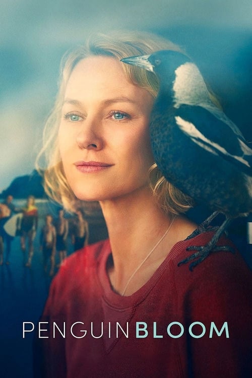 Penguin Bloom Filming Locations